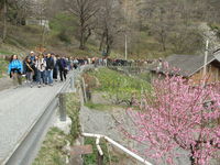 res623960_resize_1226x528_2.jpg